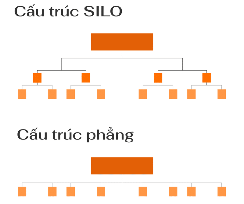 Chọn Loại Cấu Trúc Website 